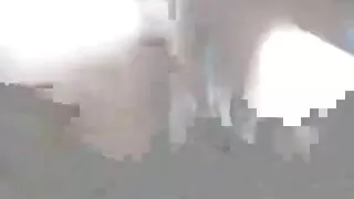 اٹھی صبح جنسی آدمی پر سوار سب سے اوپر دانلود سوپر زهره