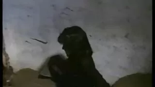 طالب علم گرم ، شہوت انگیز چھاتی میں Busty عورت بھاڑ میں جاؤ کلیپ سکس کم حجم