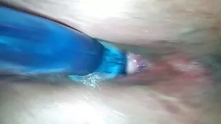 ایک بالغ جانور میں ، پیسیا اس کے پریمی کے لئے مرگا فیلم سکسی کم چوسنے کی عادت سے سینگ تھا